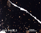 Thin Section Photo of Sample QUE 94627 in Plane-Polarized Light with 5X Magnification