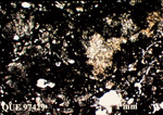 Thin Section Photo of Sample QUE 97429 in Cross-Polarized Light with 1.25X Magnification