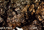 Thin Section Photo of Sample QUE 97613 in Cross-Polarized Light with 1.25X Magnification