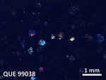 Thin Section Photo of Sample QUE 99038 in Cross-Polarized Light with  Magnification