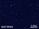 Thin Section Photo of Sample QUE 99355 in Cross-Polarized Light with 5X Magnification