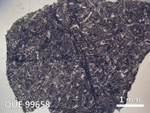 Thin Section Photo of Sample QUE 99658 in Plane-Polarized Light with 1.25X Magnification