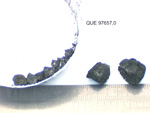 Lab Photo of Sample QUE 97657 Displaying Splits Orientation