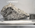 Lab Photo of Sample LAP 91900