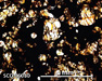 SCO 06030 Meteorite Thin Section Photo with 5x magnification in Plane-Polarized Light