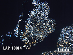 Thin Section Photo of Sample LAP 10014 in Cross-Polarized Light with 1.25X Magnification