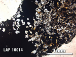 Thin Section Photo of Sample LAP 10014 in Plane-Polarized Light with 2.5X Magnification