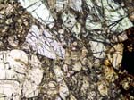 Thin Section Photograph of Sample LAP 91900 in Plane-Polarized Light