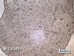 Thin Section Photo of Sample MIL 11025 in Reflected Light with 1.25X Magnification