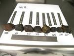 Lab Group  Photo of Sample MIL 15322 Displaying North Orientation