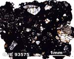 Thin Section Photograph of Sample QUE 93575 in Plane-Polarized Light