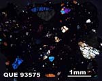 Thin Section Photograph of Sample QUE 93575 in Cross-Polarized Light
