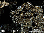 Thin Section Photo of Sample QUE 99157 in Cross-Polarized Light with 1.25x Magnification