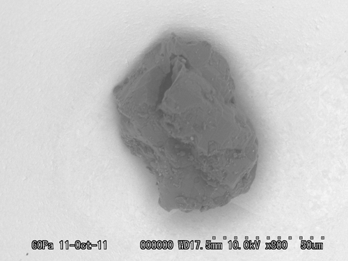 SEM Photo of sample RA-QD02-0195