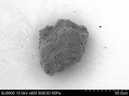 SEM Photo of sample RB-CV-0028