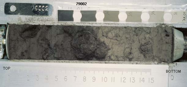 Core Sample 79002 (Photo number: 79002)