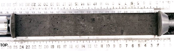Core Sample 15008 (Photo number: S80-30550)