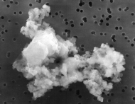 Photo of an interplanetary dust particle